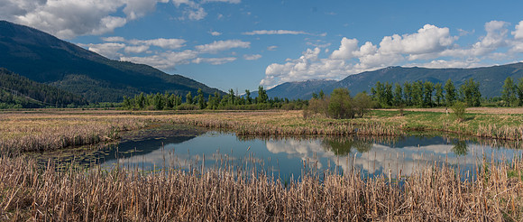 _DSC8329