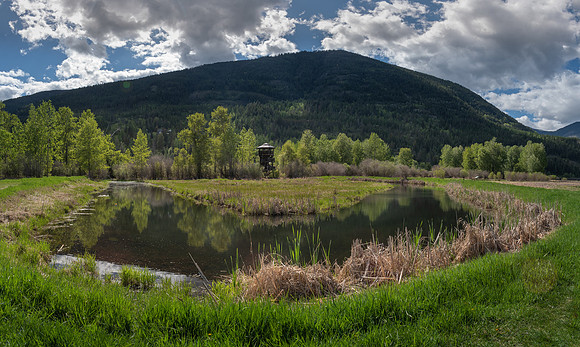 _DSC8331-Pano