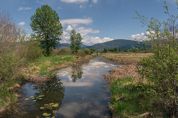 _DSC8315