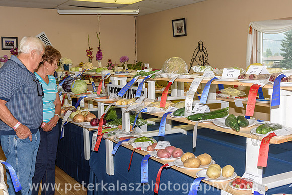 _DSC0831