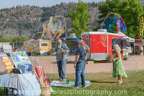_DSC1287