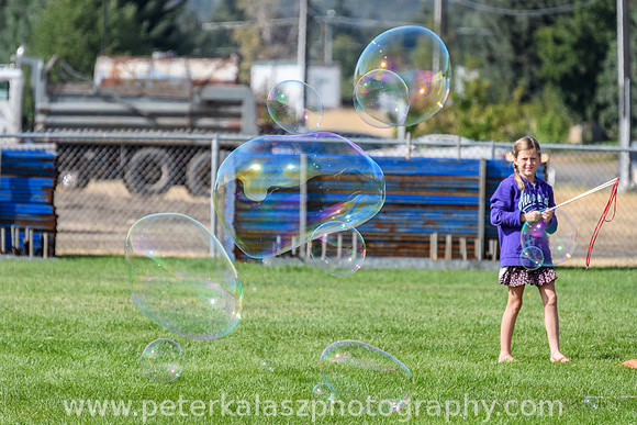 _DSC3940