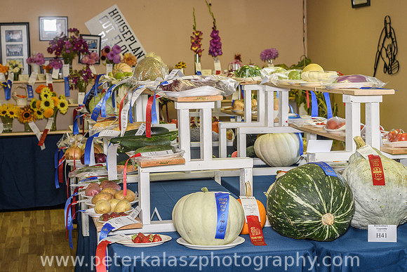 _DSC3997