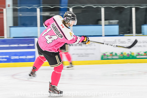 _DSC0808