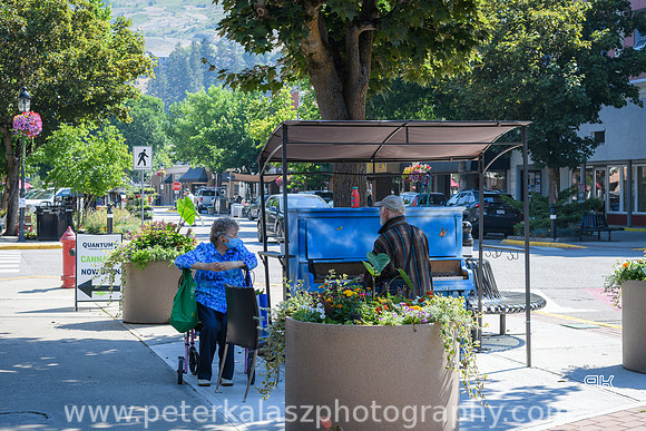 _DSC3249 20210629