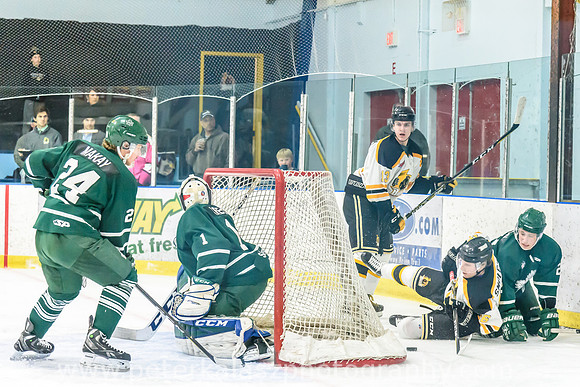 _DSC8871