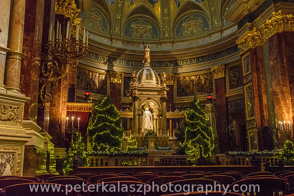 _DSC0421