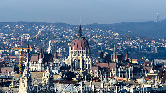 _DSC0534