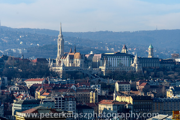 _DSC0537