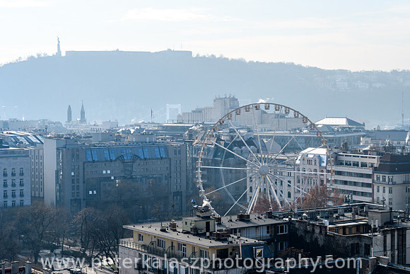 _DSC0590