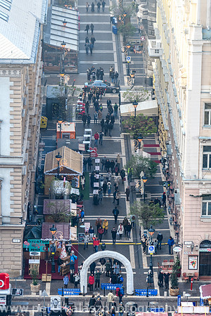 _DSC0606