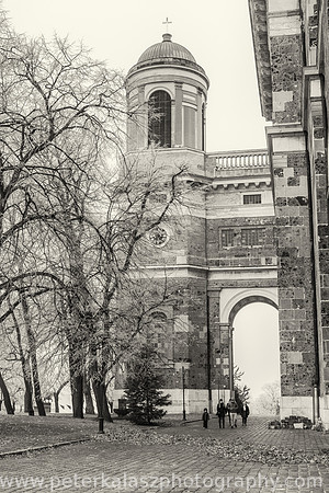 _DSC3071-Edit