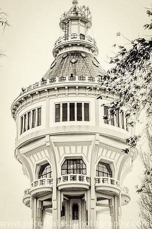 _DSC0820-Edit