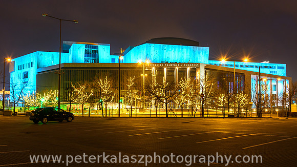 _DSC0449