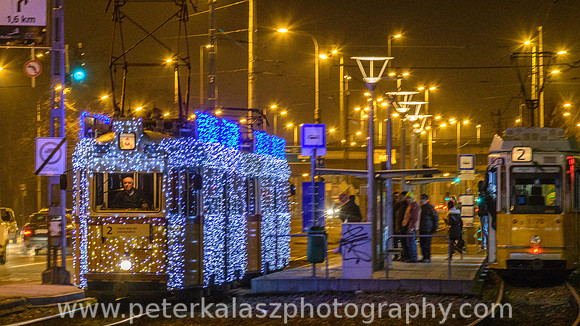 _DSC0485