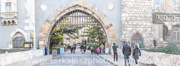 _DSC5919-Pano