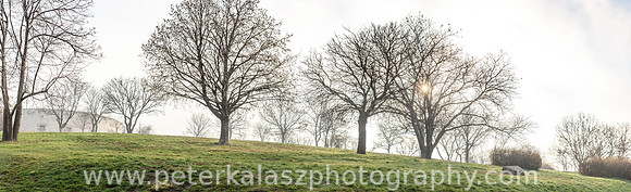 _DSC9704-Pano