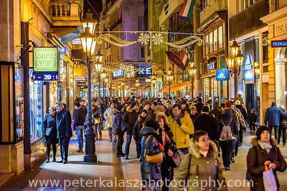 _DSC0051
