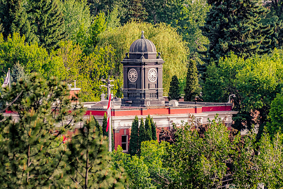 _DSC9143-Edit 20210527