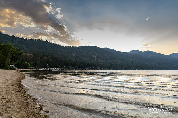 _DSC4524