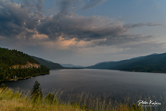 _DSC4546
