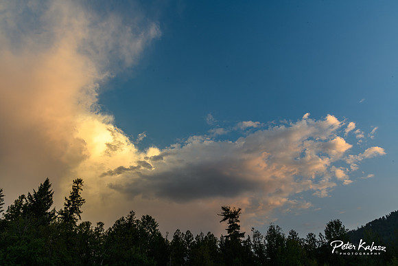 _DSC4531