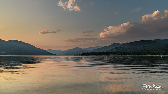 _DSC4528