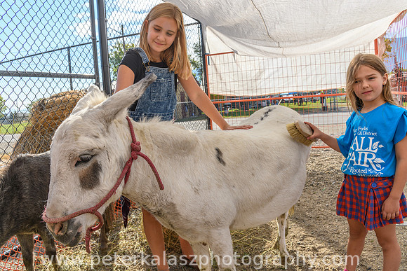 _DSC9511-2