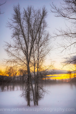Buy LOCALLY / Local Landscapes, Local Photographers, Local Printing.