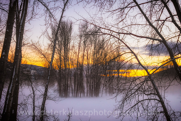 Buy LOCALLY / Local Landscapes, Local Photographers, Local Printing.
