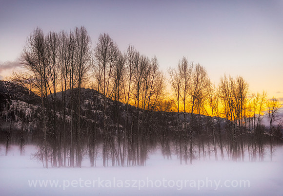 Buy LOCALLY / Local Landscapes, Local Photographers, Local Printing.