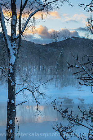 Buy LOCALLY / Local Landscapes, Local Photographers, Local Printing.