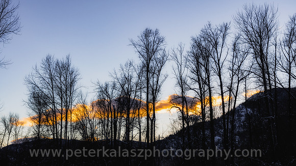 Buy LOCALLY / Local Landscapes, Local Photographers, Local Printing.