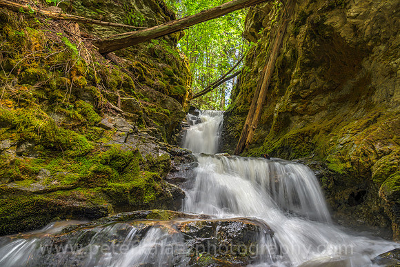 _DSC0954_5_6_7_8-2-Edit