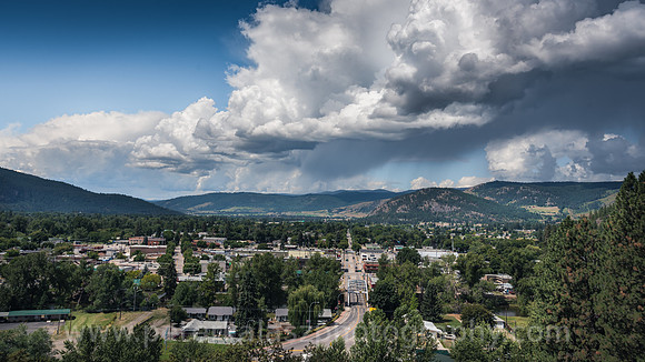 _DSC2599