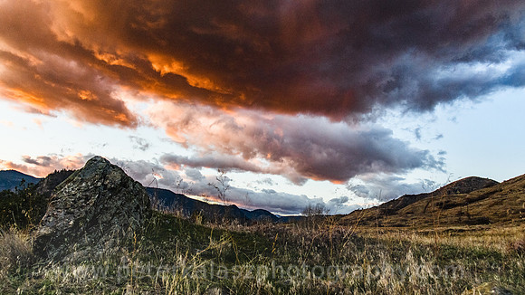 _DSC7517-Edit