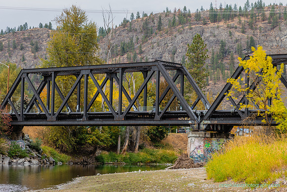 _DSC3784