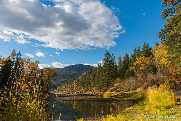 _DSC5628
