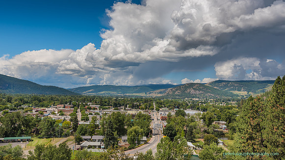 _DSC2599