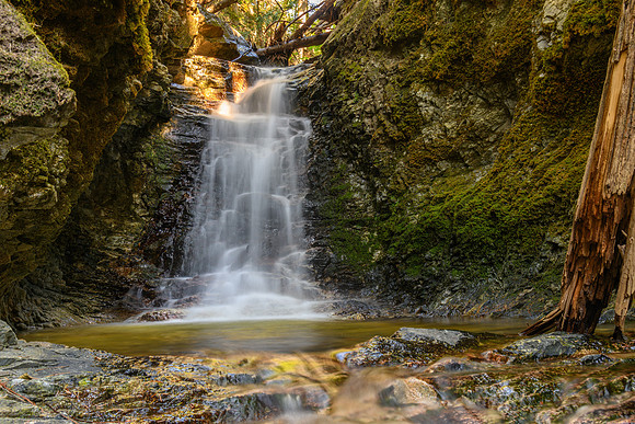 _DSC4164