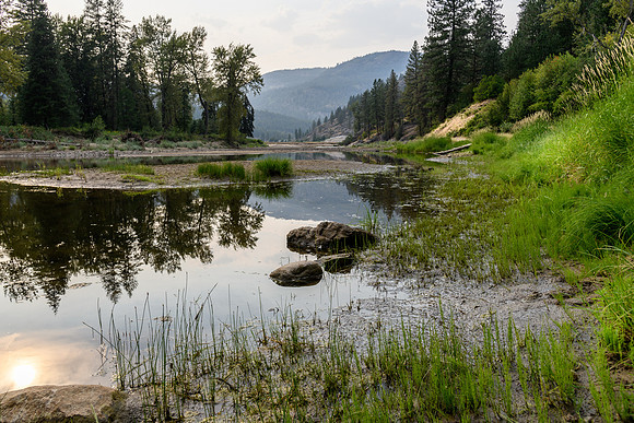 _DSC4588