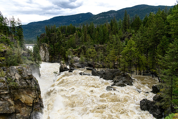 _DSC5543