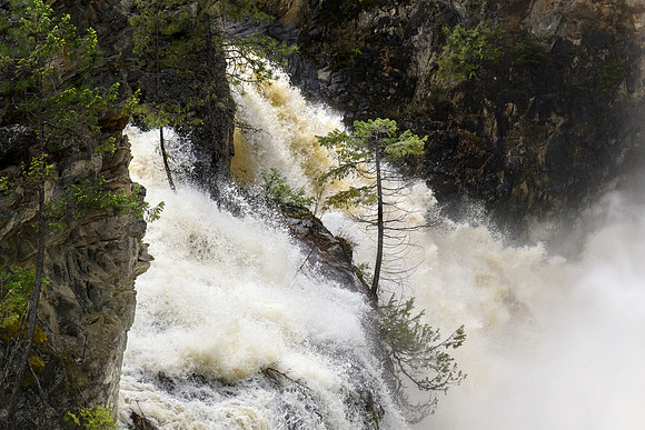_DSC5564