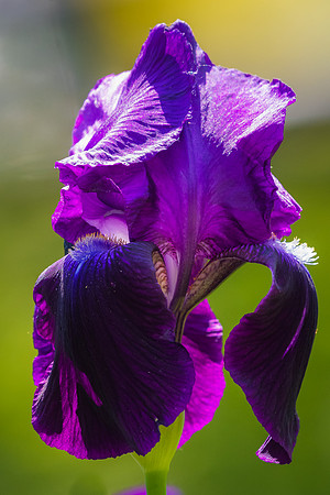 _DSC0164