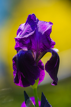 _DSC0166