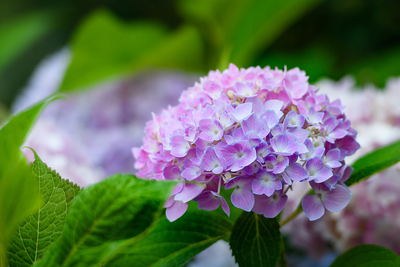 _DSC0405