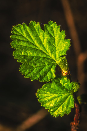 _DSC7919-Edit
