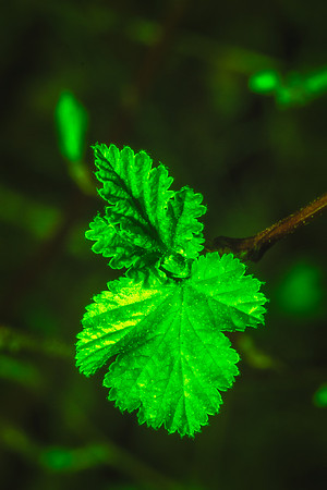 _DSC7921-Edit-2