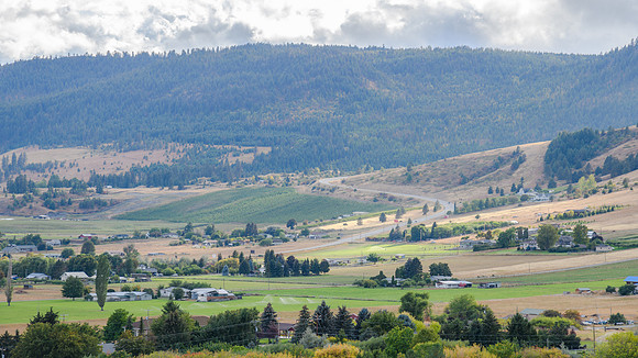 _DSC1074