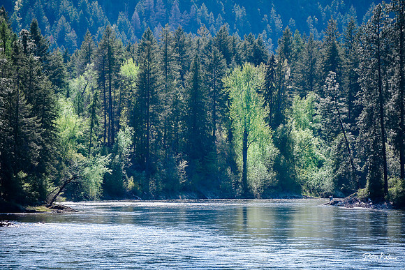 _DSC6751